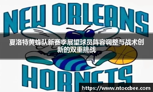夏洛特黄蜂队新赛季展望球员阵容调整与战术创新的双重挑战